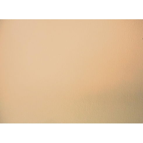 PSLF-YE30-Kem-17-PWK10-GM